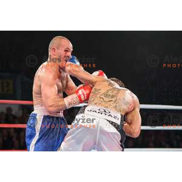 Dejan Zavec fights with Sasha Yengoyan for WBF world champion title in Tabor Hall, Maribor, 11.4.2015
