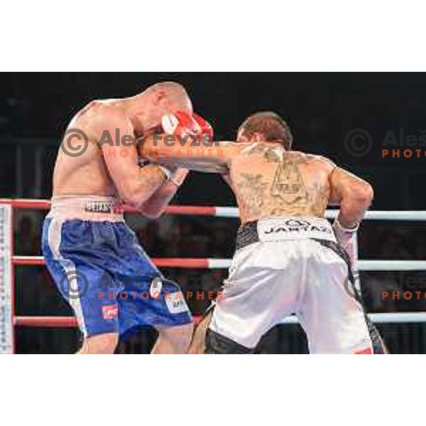 Dejan Zavec fights with Sasha Yengoyan for WBF world champion title in Tabor Hall, Maribor, 11.4.2015
