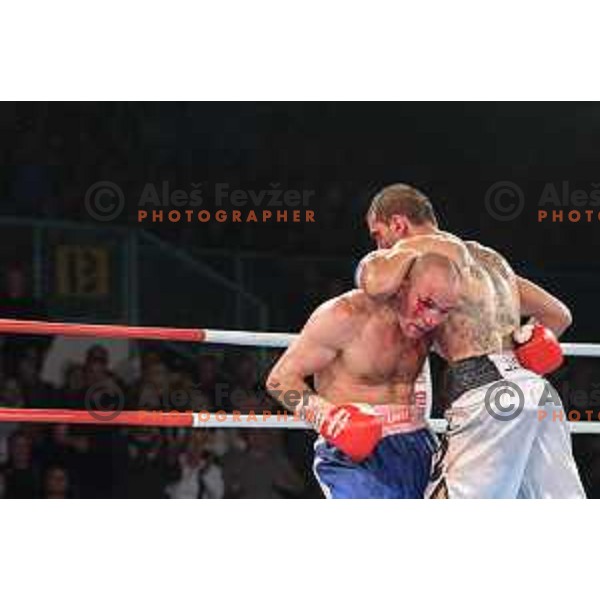 Dejan Zavec fights with Sasha Yengoyan for WBF world champion title in Tabor Hall, Maribor, 11.4.2015