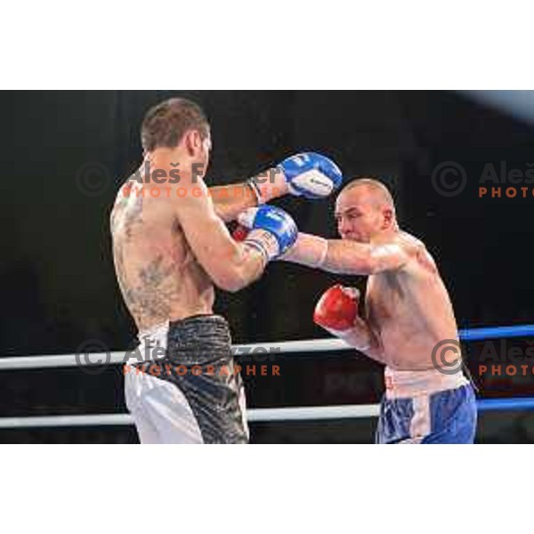 Dejan Zavec fights with Sasha Yengoyan for WBF world champion title in Tabor Hall, Maribor, 11.4.2015