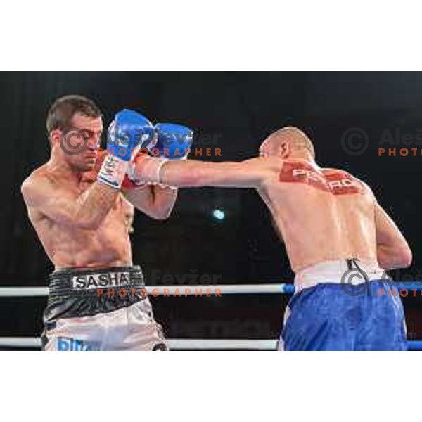 Dejan Zavec fights with Sasha Yengoyan for WBF world champion title in Tabor Hall, Maribor, 11.4.2015