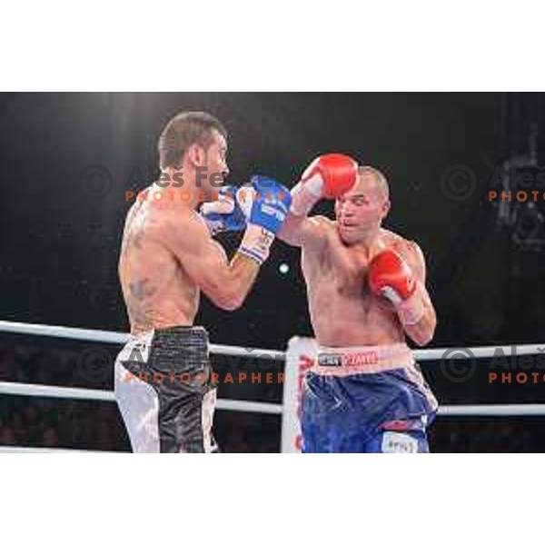 Dejan Zavec fights with Sasha Yengoyan for WBF world champion title in Tabor Hall, Maribor, 11.4.2015