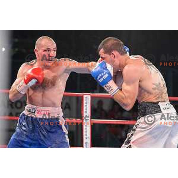 Dejan Zavec fights with Sasha Yengoyan for WBF world champion title in Tabor Hall, Maribor, 11.4.2015