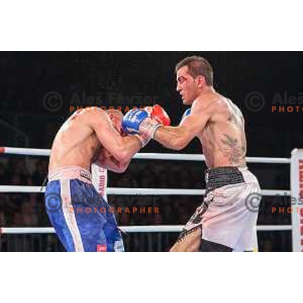 Dejan Zavec fights with Sasha Yengoyan for WBF world champion title in Tabor Hall, Maribor, 11.4.2015