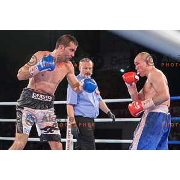 Dejan Zavec fights with Sasha Yengoyan for WBF world champion title in Tabor Hall, Maribor, 11.4.2015