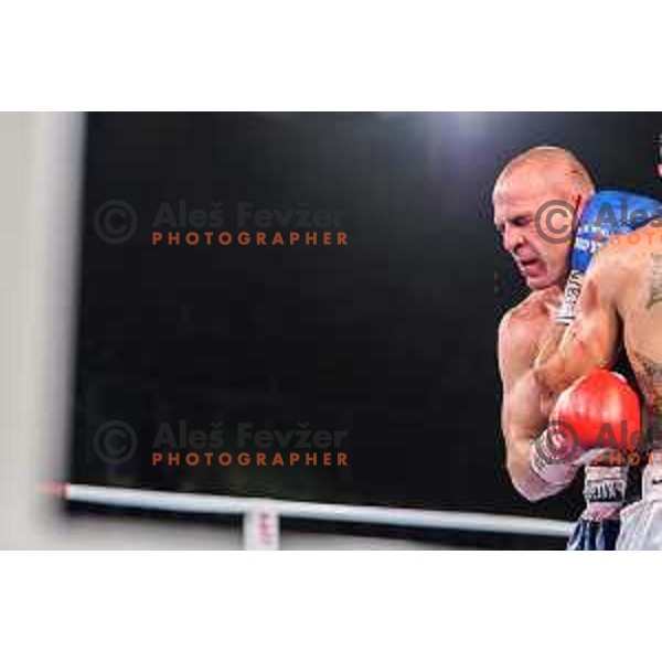 Dejan Zavec fights with Sasha Yengoyan for WBF world champion title in Tabor Hall, Maribor, 11.4.2015