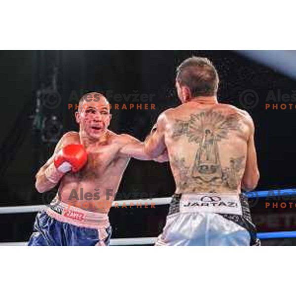Dejan Zavec fights with Sasha Yengoyan for WBF world champion title in Tabor Hall, Maribor, 11.4.2015