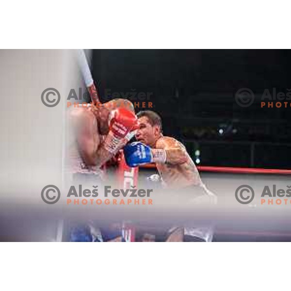 Dejan Zavec fights with Sasha Yengoyan for WBF world champion title in Tabor Hall, Maribor, 11.4.2015