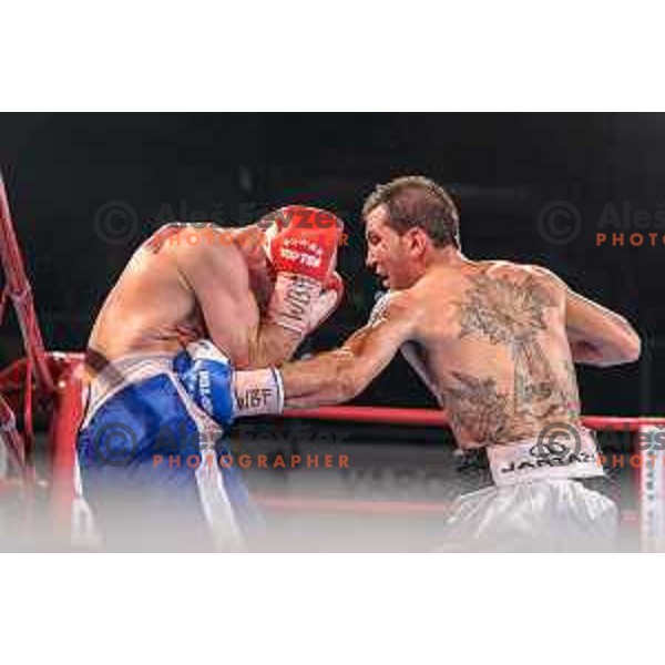 Dejan Zavec fights with Sasha Yengoyan for WBF world champion title in Tabor Hall, Maribor, 11.4.2015