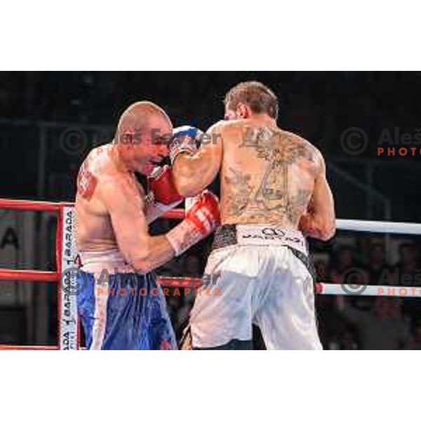 Dejan Zavec fights with Sasha Yengoyan for WBF world champion title in Tabor Hall, Maribor, 11.4.2015