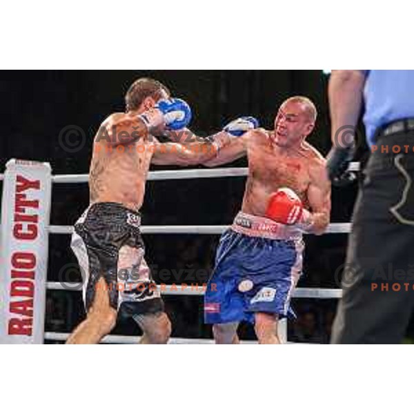 Dejan Zavec fights with Sasha Yengoyan for WBF world champion title in Tabor Hall, Maribor, 11.4.2015