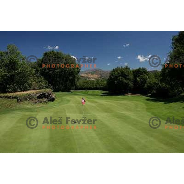 15th green at Il Picciolo golf club,Sicily,Italia. Photo by Ales Fevzer 