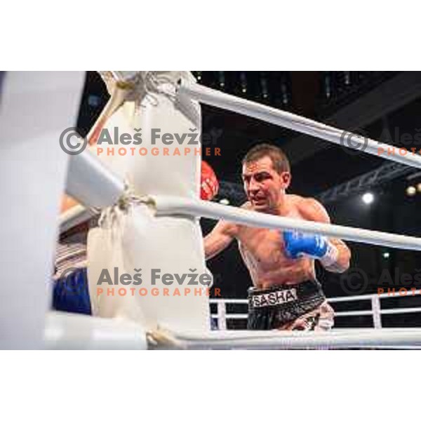Dejan Zavec fights with Sasha Yengoyan for WBF world champion title in Tabor Hall, Maribor, 11.4.2015
