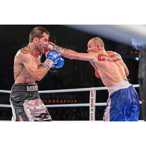 Dejan Zavec fights with Sasha Yengoyan for WBF world champion title in Tabor Hall, Maribor, 11.4.2015