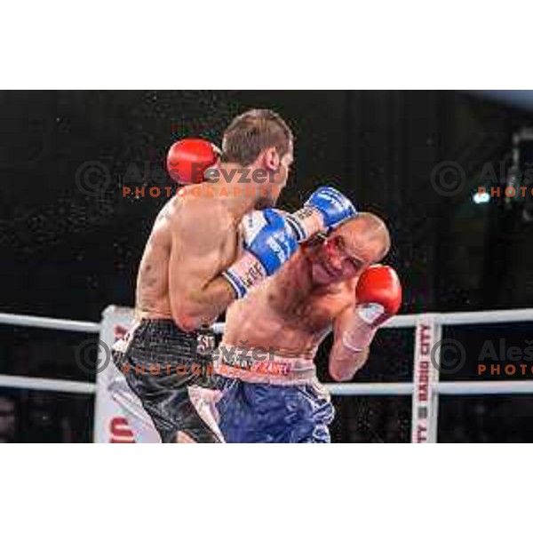 Dejan Zavec fights with Sasha Yengoyan for WBF world champion title in Tabor Hall, Maribor, 11.4.2015