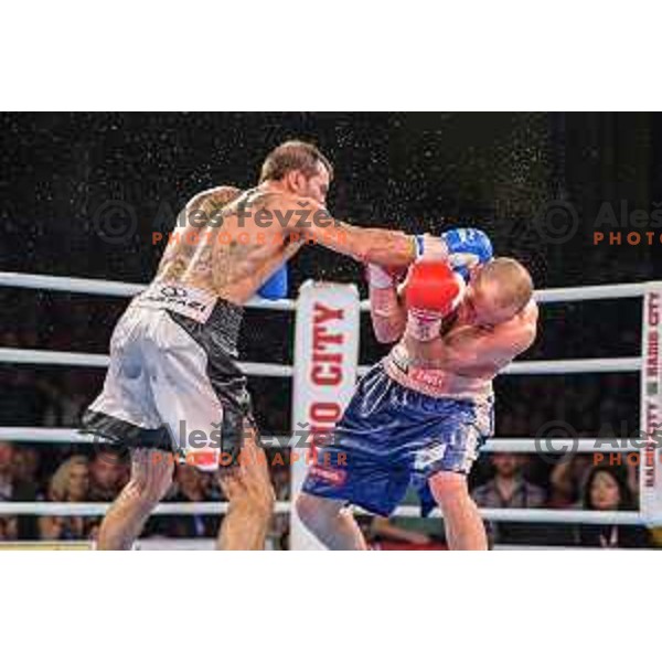 Dejan Zavec fights with Sasha Yengoyan for WBF world champion title in Tabor Hall, Maribor, 11.4.2015