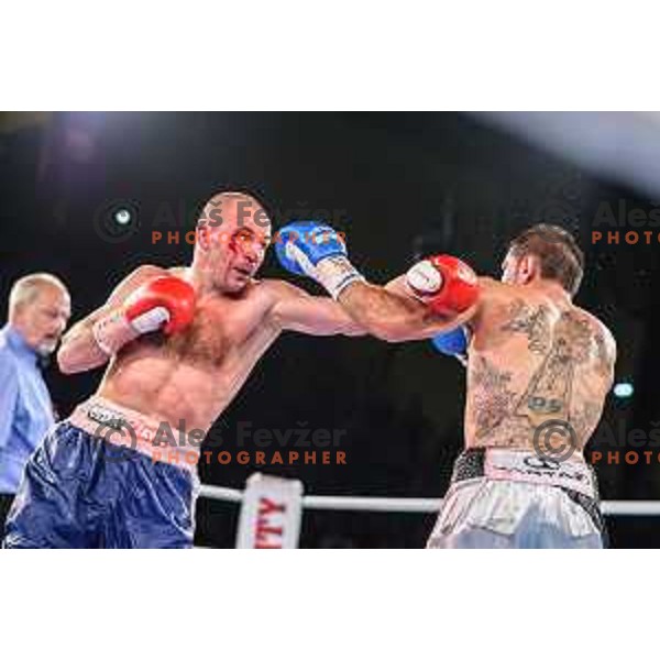 Dejan Zavec fights with Sasha Yengoyan for WBF world champion title in Tabor Hall, Maribor, 11.4.2015