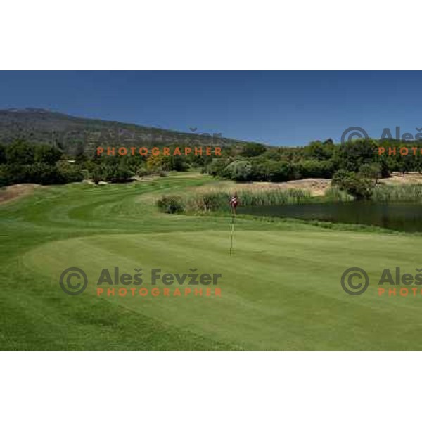 14th green at Il Picciolo golf club,Sicily,Italia. Photo by Ales Fevzer 