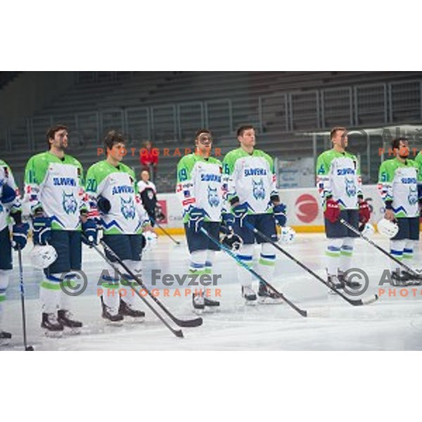 Team Slovenia in action during friendly ice hockey match between Slovenia and Japan, played in Podmezakla Hall, Jesenice, Slovenia, on April 15th, 2015.
