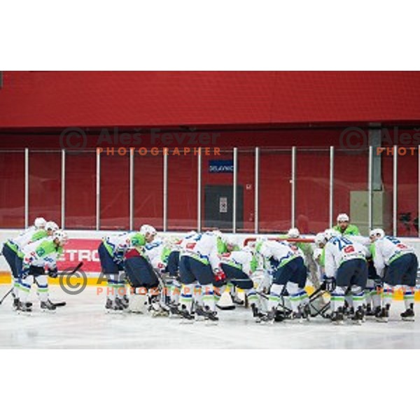 Team Slovenia in action during friendly ice hockey match between Slovenia and Japan, played in Podmezakla Hall, Jesenice, Slovenia, on April 15th, 2015.