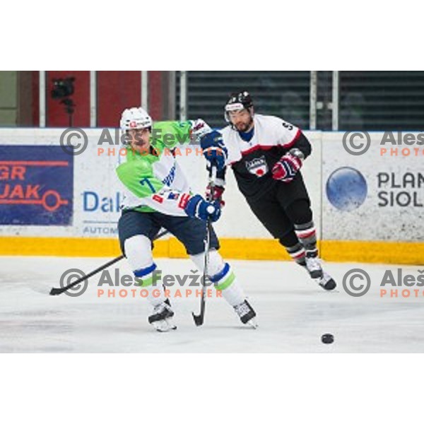 Klemen Pretnar of Slovenia in action during friendly ice hockey match between Slovenia and Japan, played in Podmezakla Hall, Jesenice, Slovenia, on April 15th, 2015.