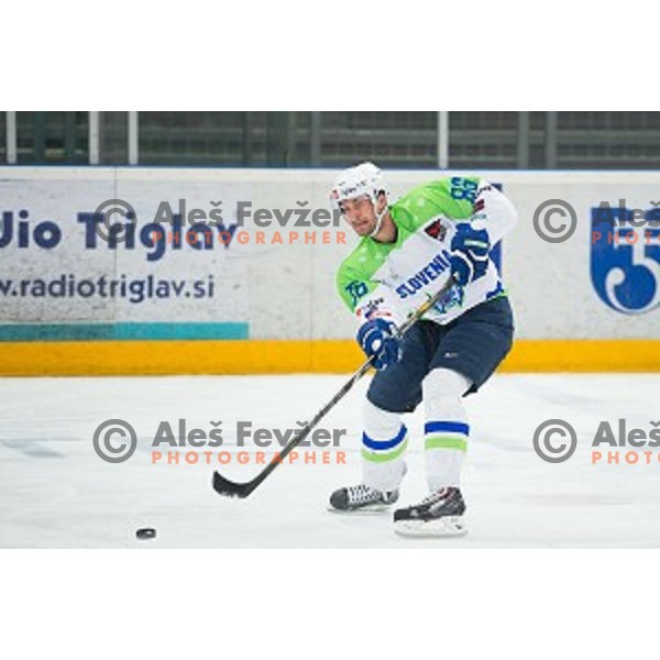 Sabahudin Kovacevic of Slovenia in action during friendly ice hockey match between Slovenia and Japan, played in Podmezakla Hall, Jesenice, Slovenia, on April 15th, 2015.