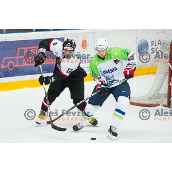 Ryo Tanaka of Japan and Luka Vidmar of Slovenia in action during friendly ice hockey match between Slovenia and Japan, played in Podmezakla Hall, Jesenice, Slovenia, on April 15th, 2015.