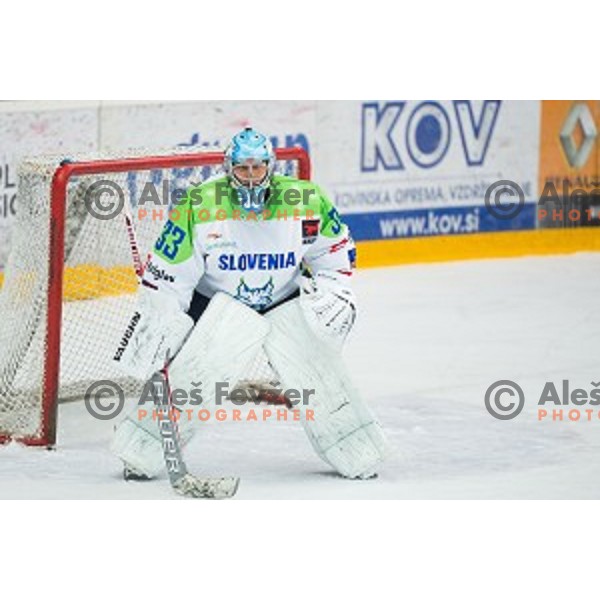 Robert Kristan of Slovenia in action during friendly ice hockey match between Slovenia and Japan, played in Podmezakla Hall, Jesenice, Slovenia, on April 15th, 2015.