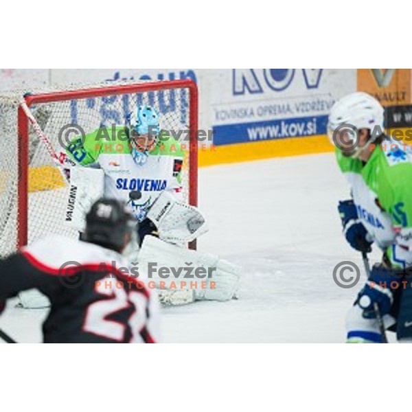 Robert Kristan of Slovenia in action during friendly ice hockey match between Slovenia and Japan, played in Podmezakla Hall, Jesenice, Slovenia, on April 15th, 2015.