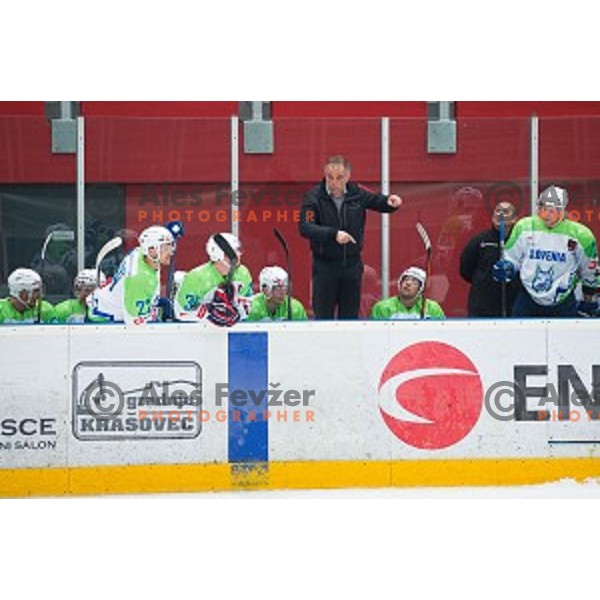 Matjaz Kopitar of Slovenia in action during friendly ice hockey match between Slovenia and Japan, played in Podmezakla Hall, Jesenice, Slovenia, on April 15th, 2015.