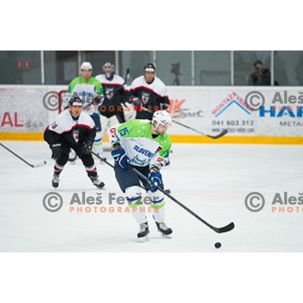 Blaz Gregorc of Slovenia in action during friendly ice hockey match between Slovenia and Japan, played in Podmezakla Hall, Jesenice, Slovenia, on April 15th, 2015.