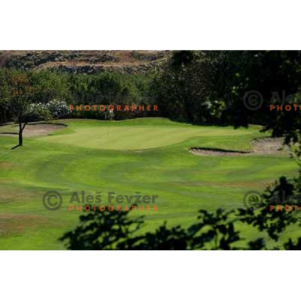 3rd green at Il Picciolo golf club,Sicily,Italia. Photo by Ales Fevzer 
