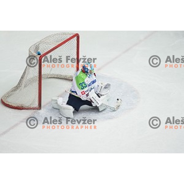Robert Kristan of Slovenia in action during friendly ice hockey match between Slovenia and Japan, played in Podmezakla Hall, Jesenice, Slovenia, on April 15th, 2015.