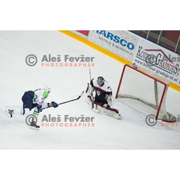 Jan Urbas of Slovenia in action during friendly ice hockey match between Slovenia and Japan, played in Podmezakla Hall, Jesenice, Slovenia, on April 15th, 2015.
