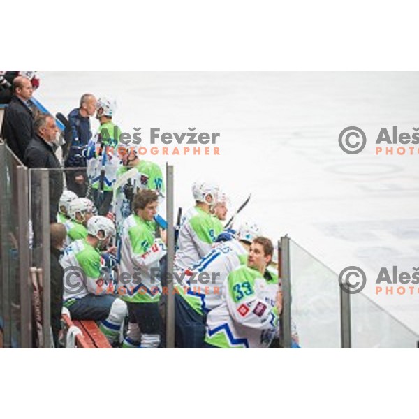 Team Slovenia in action during friendly ice hockey match between Slovenia and Japan, played in Podmezakla Hall, Jesenice, Slovenia, on April 15th, 2015.