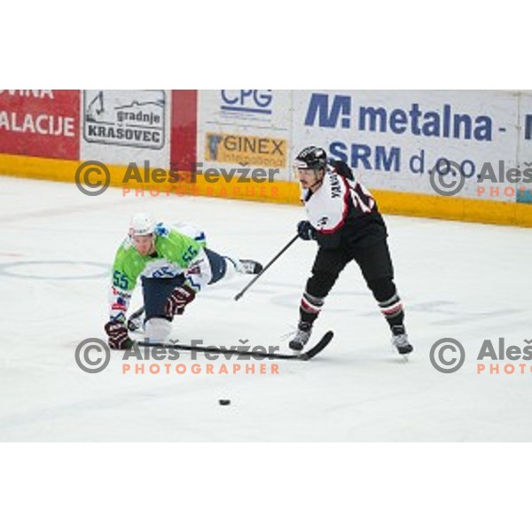 Robert Sabolic of Slovenia in action during friendly ice hockey match between Slovenia and Japan, played in Podmezakla Hall, Jesenice, Slovenia, on April 15th, 2015.