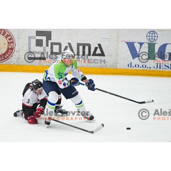 Jan Urbas of Slovenia in action during friendly ice hockey match between Slovenia and Japan, played in Podmezakla Hall, Jesenice, Slovenia, on April 15th, 2015.