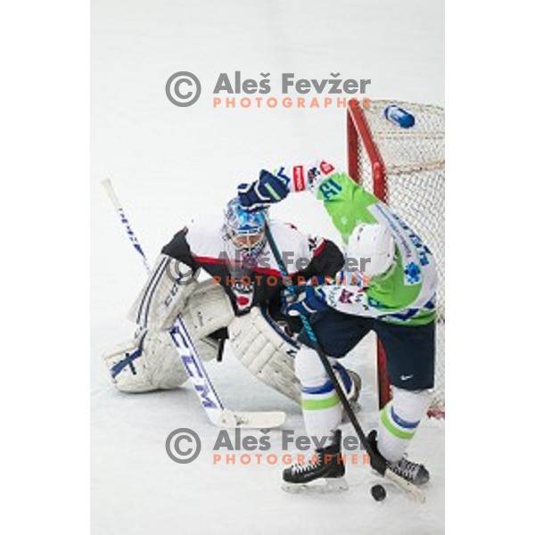Ziga pance of Slovenia in action during friendly ice hockey match between Slovenia and Japan, played in Podmezakla Hall, Jesenice, Slovenia, on April 15th, 2015.