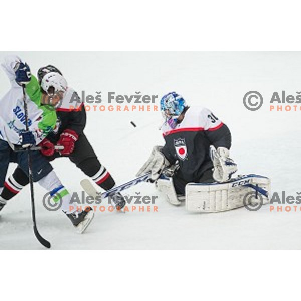 Yuto Ito of Japan in action during friendly ice hockey match between Slovenia and Japan, played in Podmezakla Hall, Jesenice, Slovenia, on April 15th, 2015.