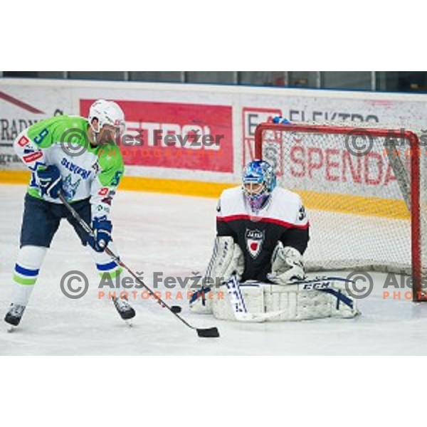 Tomaz Razingar of Slovenia in action during friendly ice hockey match between Slovenia and Japan, played in Podmezakla Hall, Jesenice, Slovenia, on April 15th, 2015.