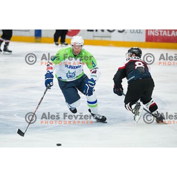Tomaz Razingar of Slovenia in action during friendly ice hockey match between Slovenia and Japan, played in Podmezakla Hall, Jesenice, Slovenia, on April 15th, 2015.