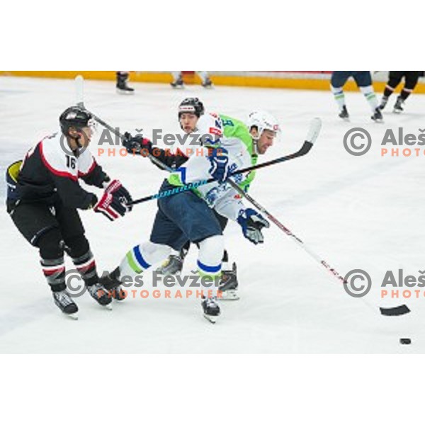 Tomaz Razingar of Slovenia in action during friendly ice hockey match between Slovenia and Japan, played in Podmezakla Hall, Jesenice, Slovenia, on April 15th, 2015.