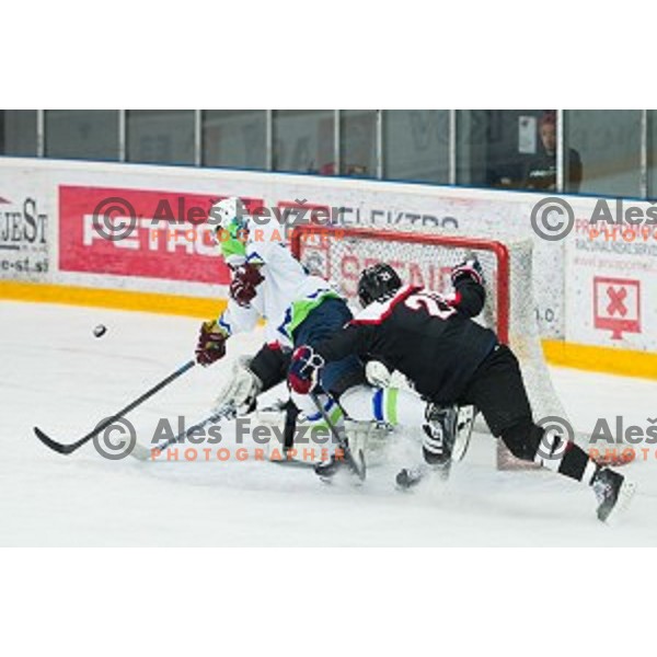 Action during friendly ice hockey match between Slovenia and Japan, played in Podmezakla Hall, Jesenice, Slovenia, on April 15th, 2015.