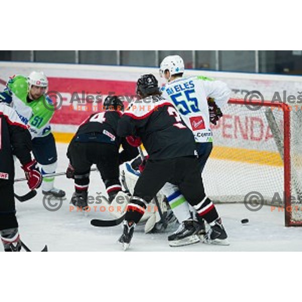 Action during friendly ice hockey match between Slovenia and Japan, played in Podmezakla Hall, Jesenice, Slovenia, on April 15th, 2015.