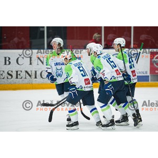 Team Slovenia in action during friendly ice hockey match between Slovenia and Japan, played in Podmezakla Hall, Jesenice, Slovenia, on April 15th, 2015.
