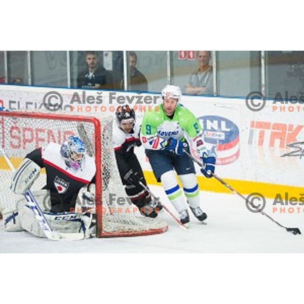 Tomaz Razingar of Slovenia in action during friendly ice hockey match between Slovenia and Japan, played in Podmezakla Hall, Jesenice, Slovenia, on April 15th, 2015.