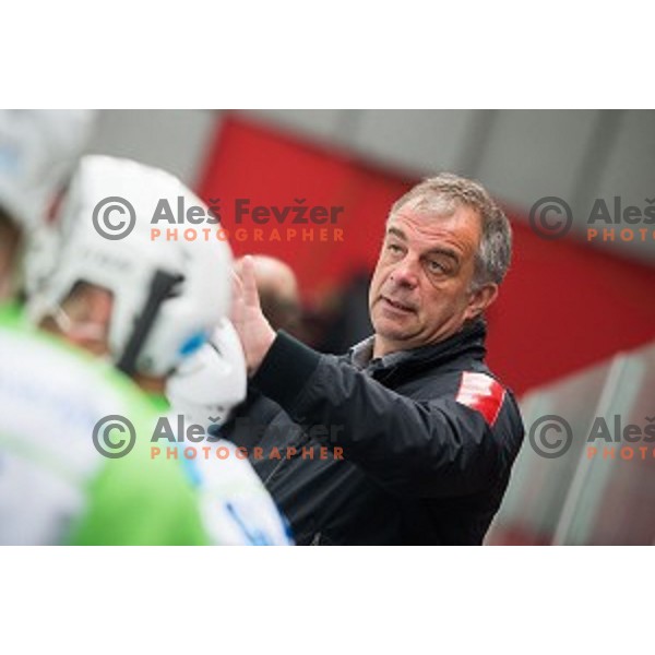 Matjaz Kopitar of Slovenia during friendly ice hockey match between Slovenia and Japan, played in Podmezakla Hall, Jesenice, Slovenia, on April 15th, 2015.