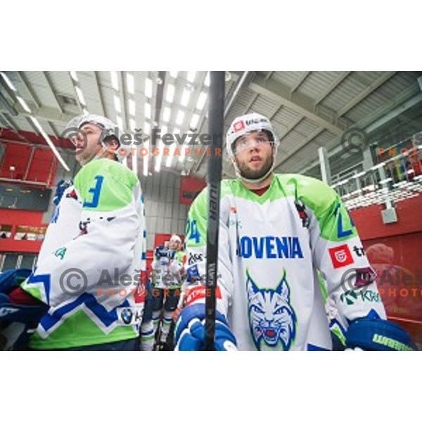 Rok Ticar of Slovenia in action during friendly ice hockey match between Slovenia and Japan, played in Podmezakla Hall, Jesenice, Slovenia, on April 15th, 2015.
