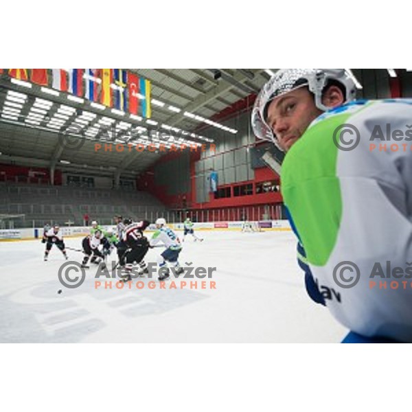 Action during friendly ice hockey match between Slovenia and Japan, played in Podmezakla Hall, Jesenice, Slovenia, on April 15th, 2015.