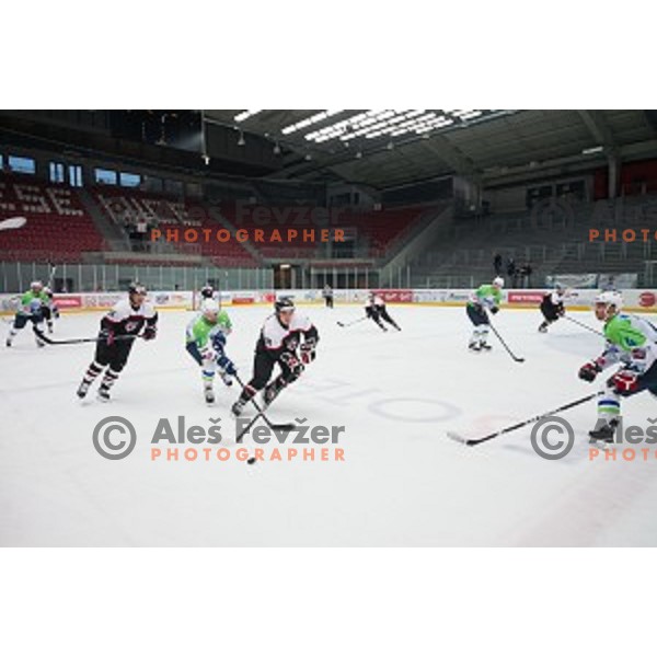 Action during friendly ice hockey match between Slovenia and Japan, played in Podmezakla Hall, Jesenice, Slovenia, on April 15th, 2015.